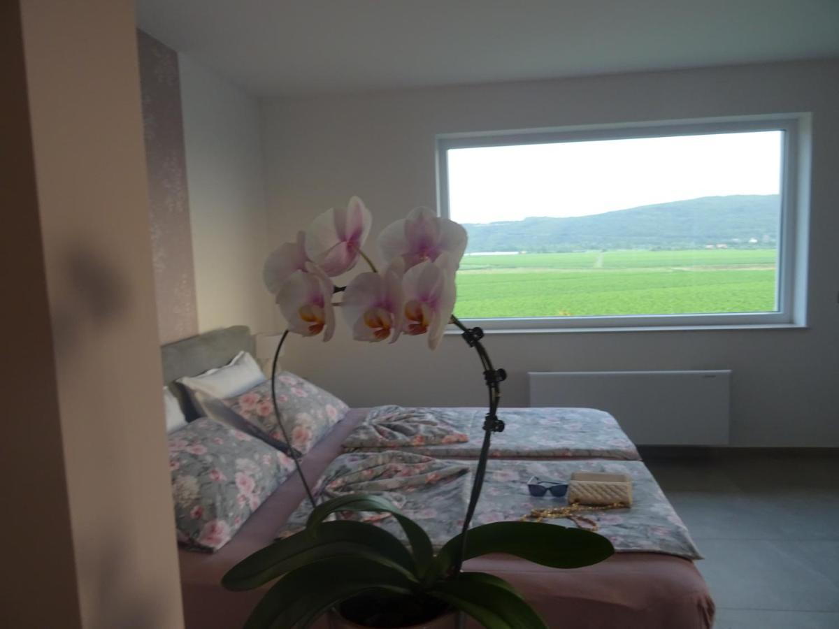Val&Sol Apartments Sečovlje Zewnętrze zdjęcie