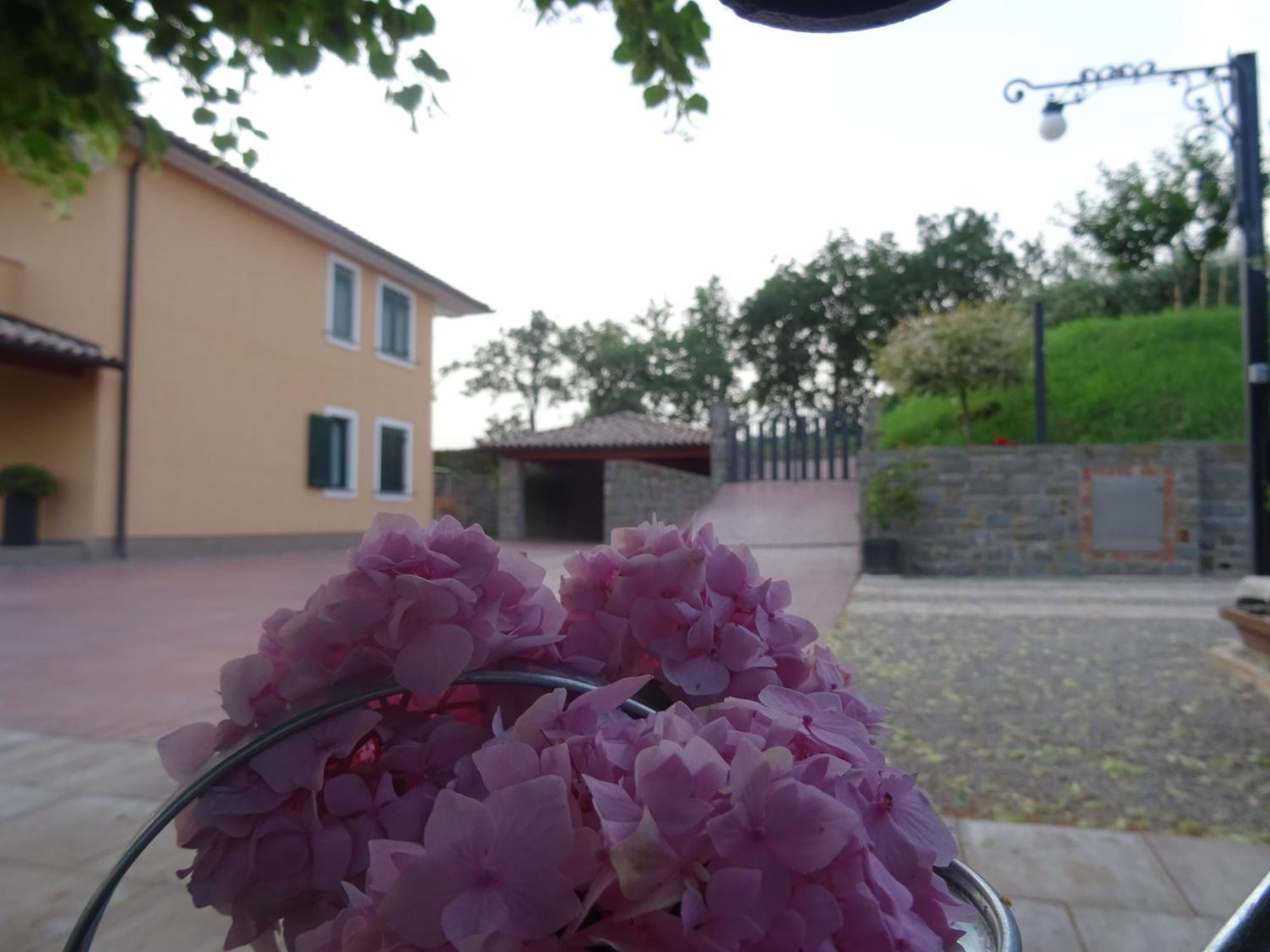 Val&Sol Apartments Sečovlje Zewnętrze zdjęcie
